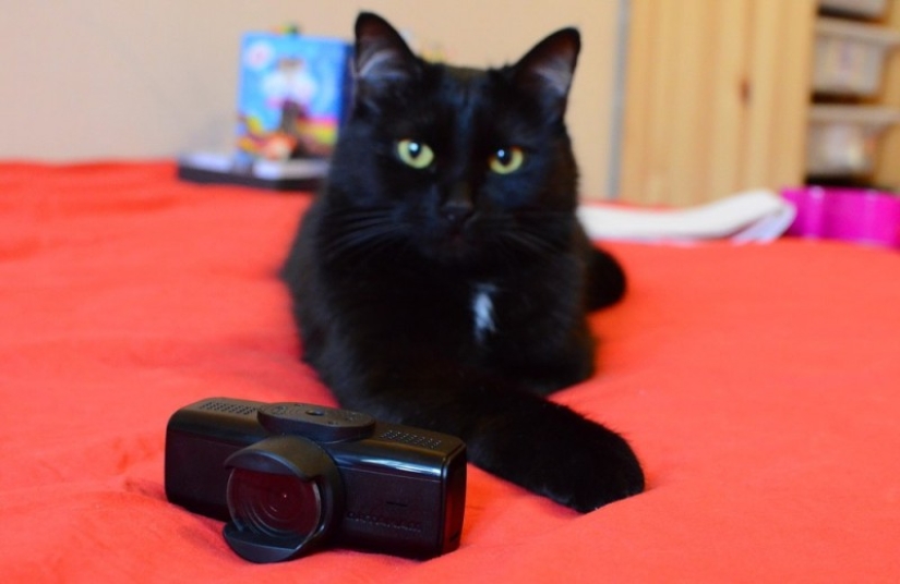 Russian design bureau creates "iPhones" - video recorders Russian design bureau creates "iPhones" - video recorders