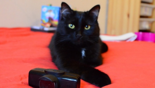 Russian design bureau creates "iPhones" - video recorders Russian design bureau creates "iPhones" - video recorders