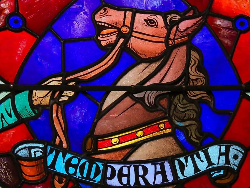 Sabiduría estoica: deja de hacer estas 7 cosas