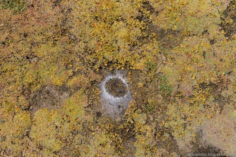 Sahama National Park