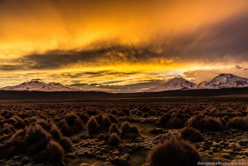 Sahama National Park