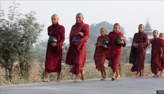 Salida del sol sobre campos de arroz y alimentación de monjes