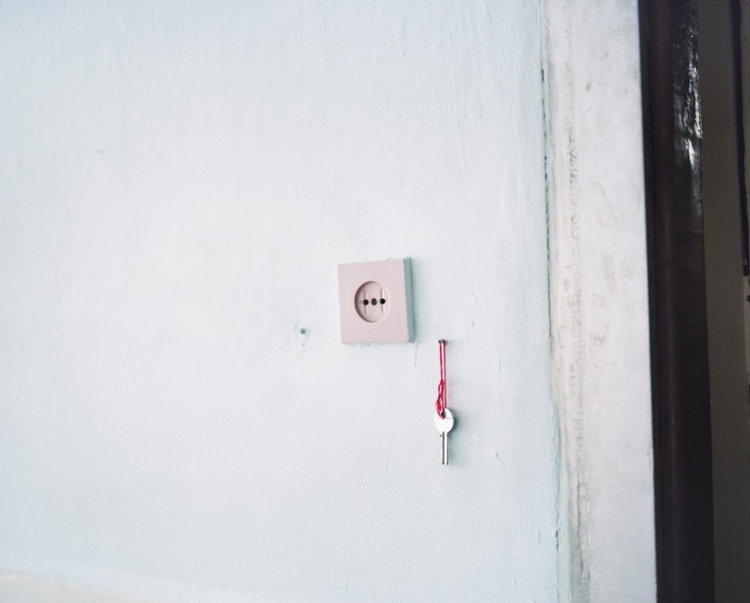 "Salt of the earth" "Salt of the earth"