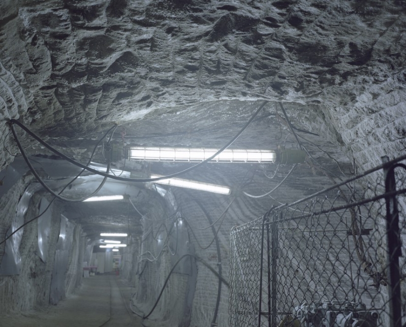 "Salt of the earth" "Salt of the earth"