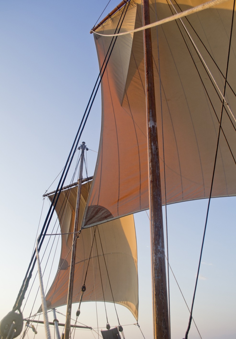 ¡Salvemos la nave juntos!