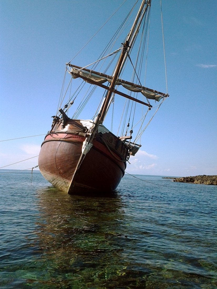 ¡Salvemos la nave juntos!