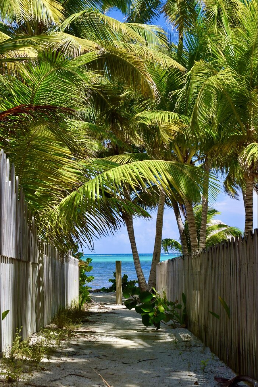 San Pedro, Belize: 16 Photos That Showcase This Amazing Destination