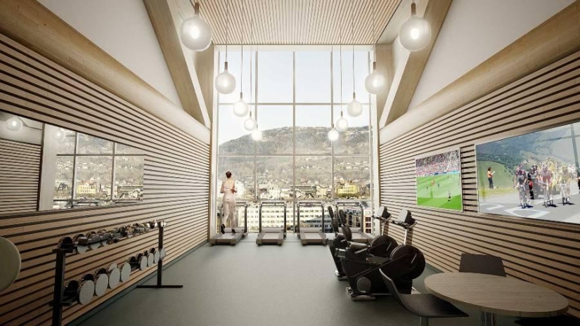 Scandinavian design, or The tallest Treet house will be built in the town of Bergen