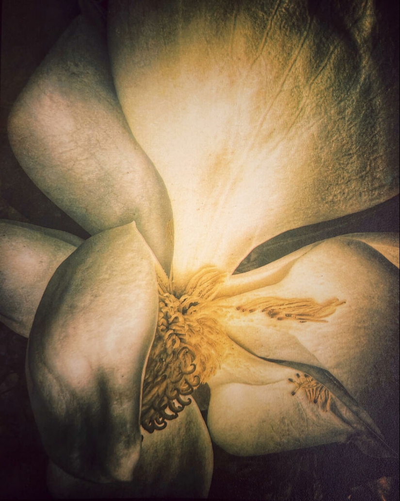 Se acaban de anunciar las fotografías ganadoras del concurso “Naturaleza” de la revista AAP, y aquí están las 14 mejores fotografías Se acaban de anunciar las fotografías ganadoras del concurso “Naturaleza” de la revista AAP, y aquí están las 14 mejores fotografías