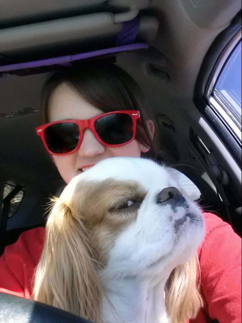 Selección emocional: Miradas de soslayo en el mundo animal