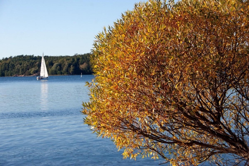 September Melody September Melody