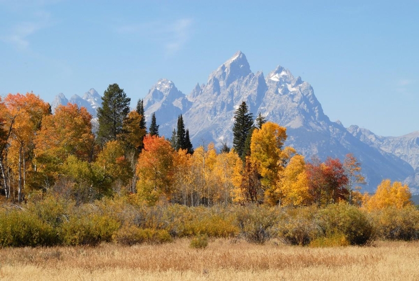 September Melody September Melody