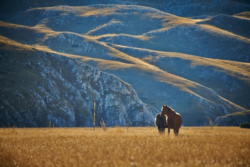 September Melody September Melody