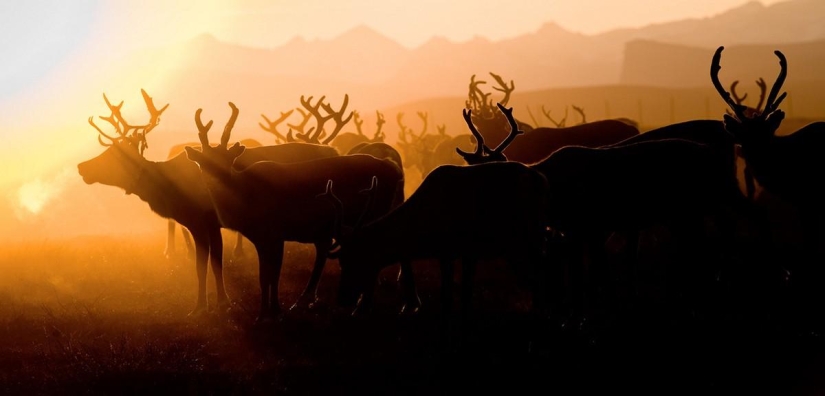 September Melody September Melody