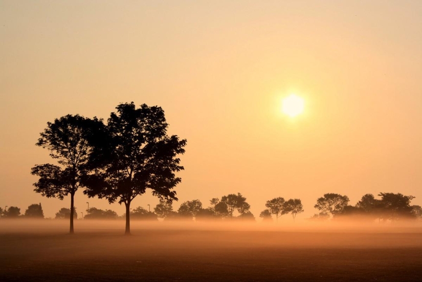 September Melody September Melody