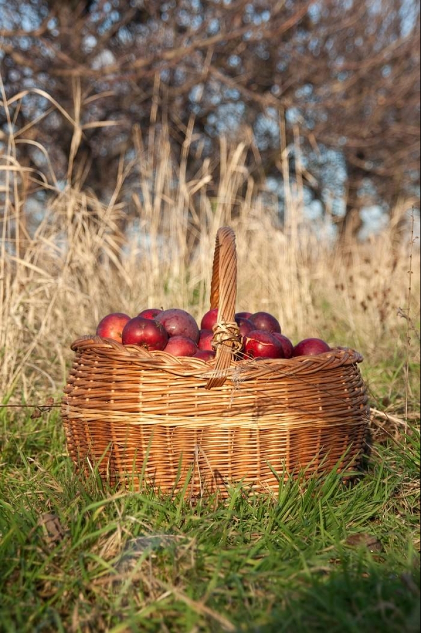 September Melody September Melody