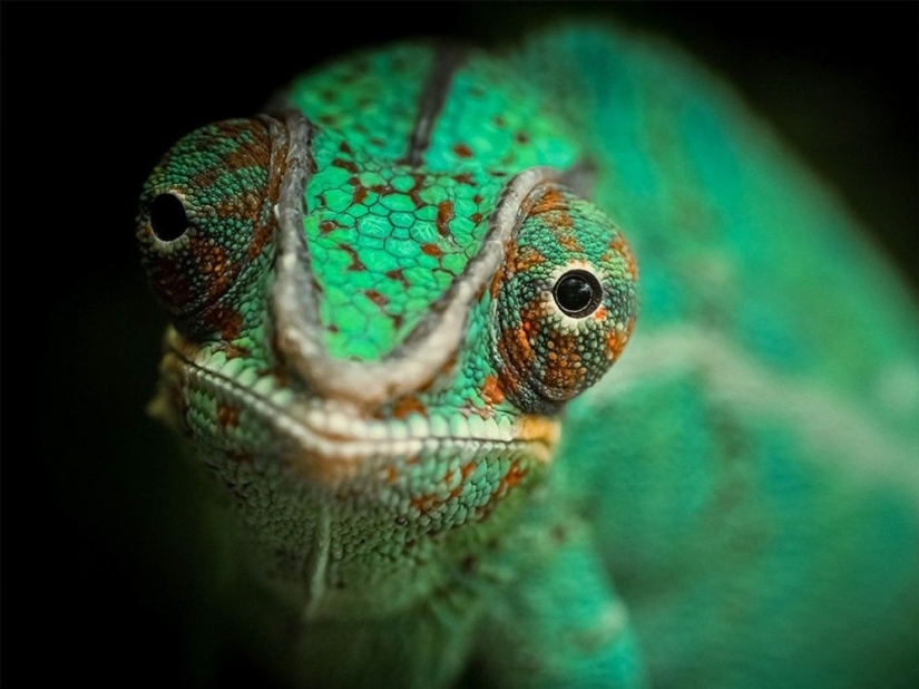 September's Best National Geographic Photos