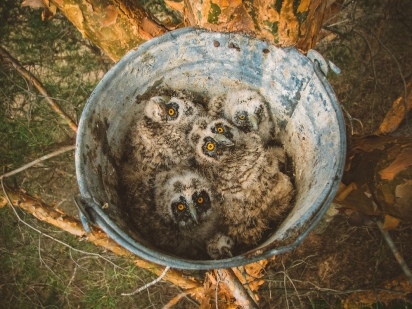 September's Best National Geographic Photos