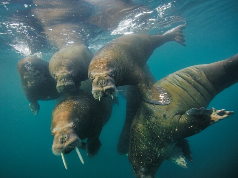 September's Best National Geographic Photos