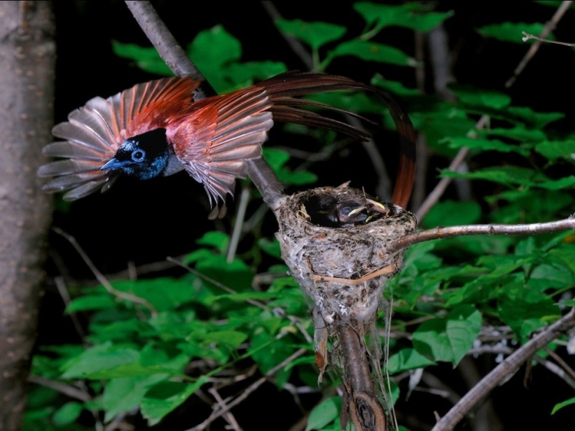 September's Best National Geographic Photos