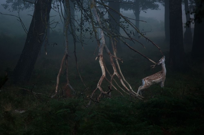 September's Best National Geographic Photos