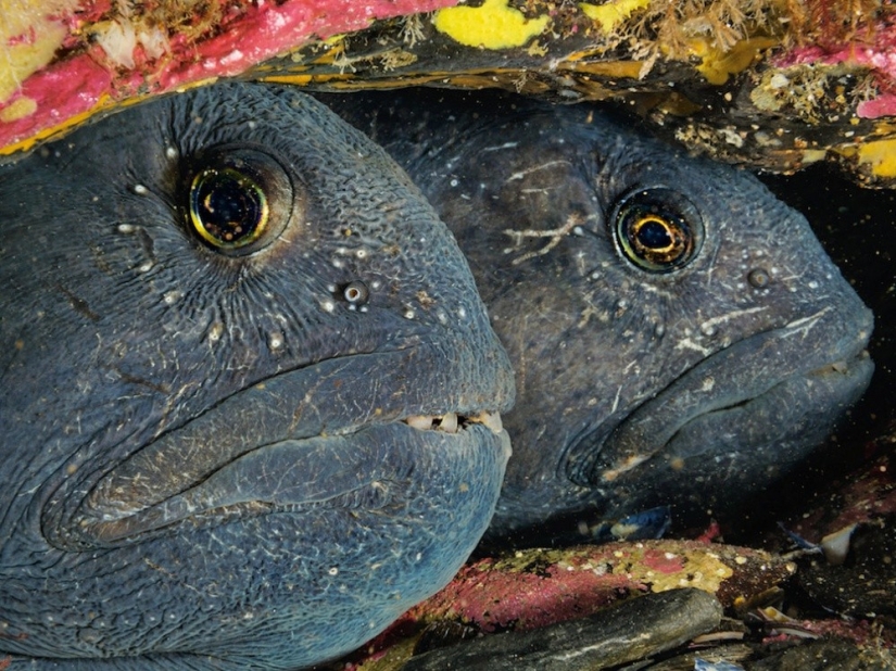 September's Best National Geographic Photos