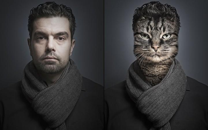 Serie de fotos divertidas de gatos y sus dueños.