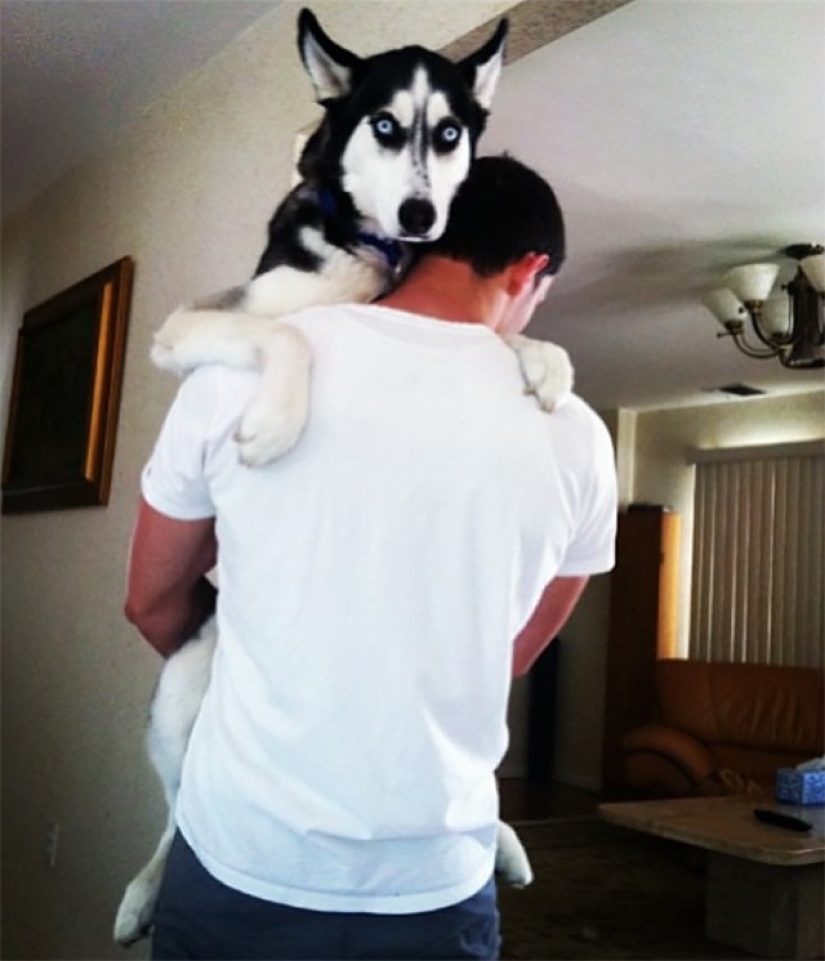 Sexy doctor and his glorious husky!