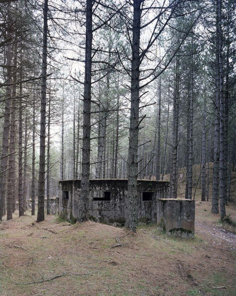 Shadow of the defender of the fatherland Shadow of the defender of the fatherland