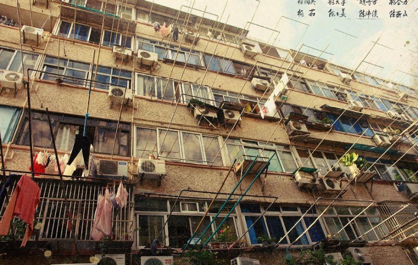 Shanghai bull. Day very first