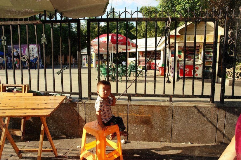 Shanghai bull. Day very first