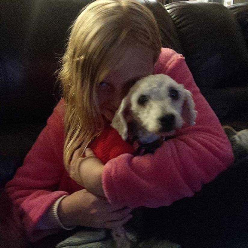 Shrek's story - an abandoned dog who found a home