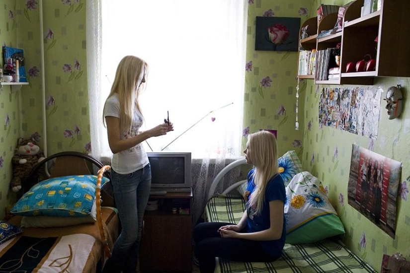 Siberian beauties Siberian beauties