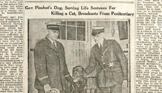 ¡Siéntate! La historia de la perra Pepa, que recibió cadena perpetua por una acusación falsa