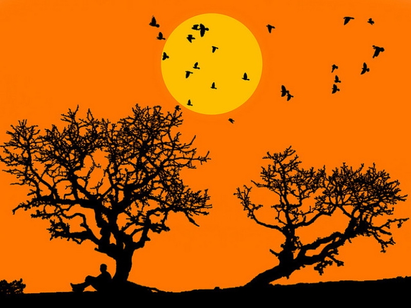 Siluetas del fotógrafo Navid Mugal Siluetas del fotógrafo Navid Mugal