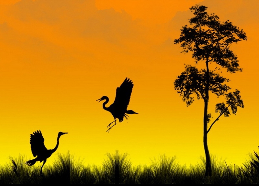 Siluetas del fotógrafo Navid Mugal Siluetas del fotógrafo Navid Mugal