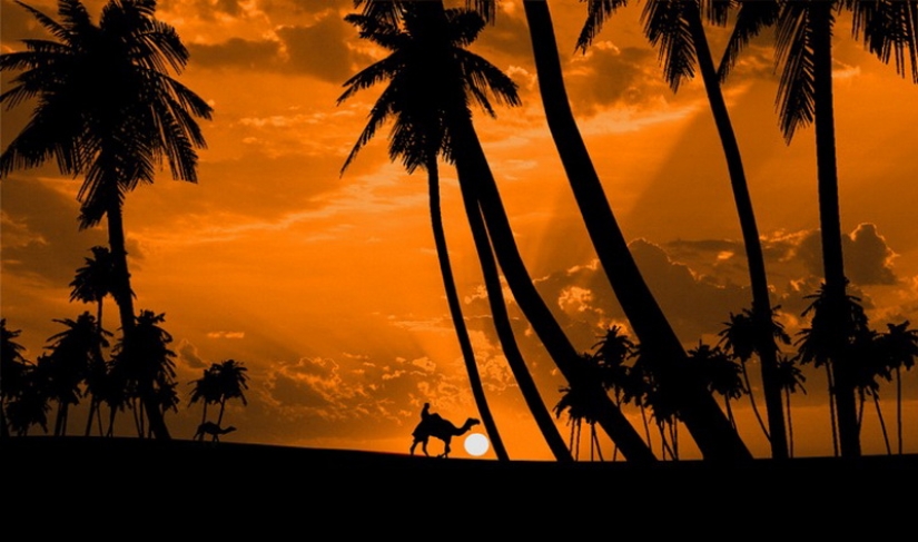 Siluetas del fotógrafo Navid Mugal Siluetas del fotógrafo Navid Mugal