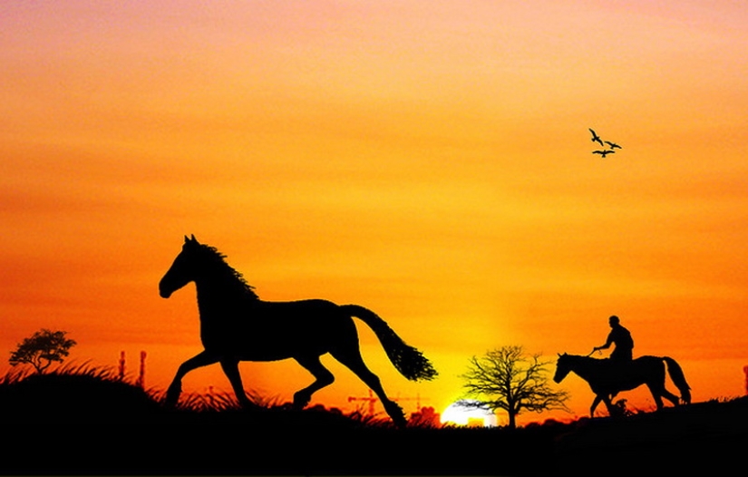 Siluetas del fotógrafo Navid Mugal Siluetas del fotógrafo Navid Mugal