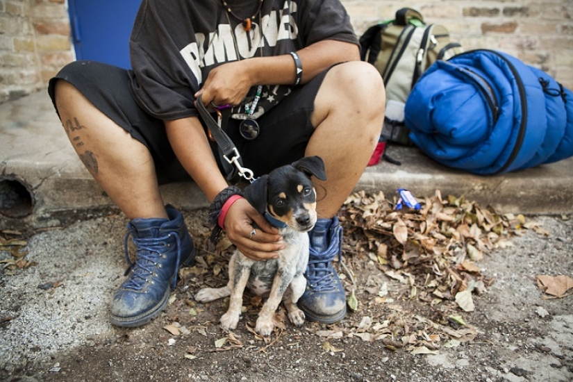 Sin hogar pero con un amigo