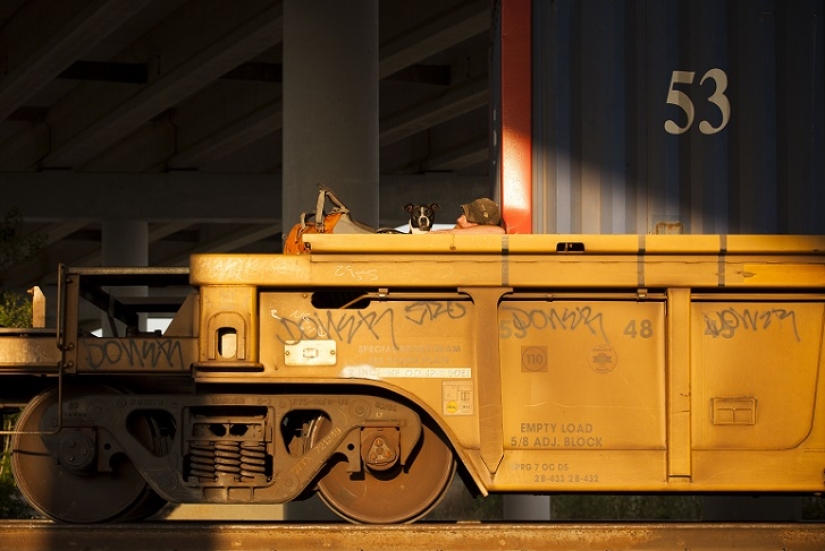 Sin hogar pero con un amigo