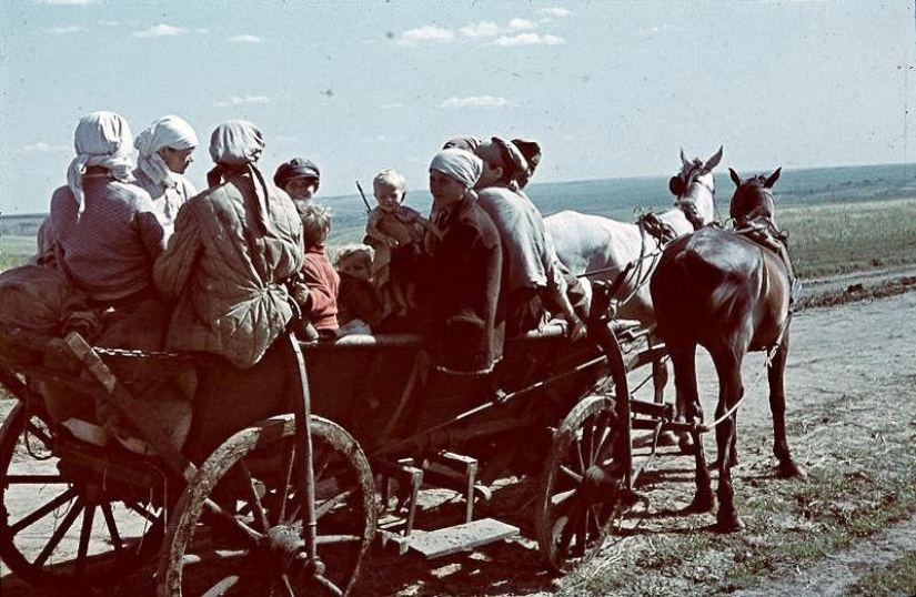 Sin la imagen del enemigo: foto de un corresponsal de guerra húngaro