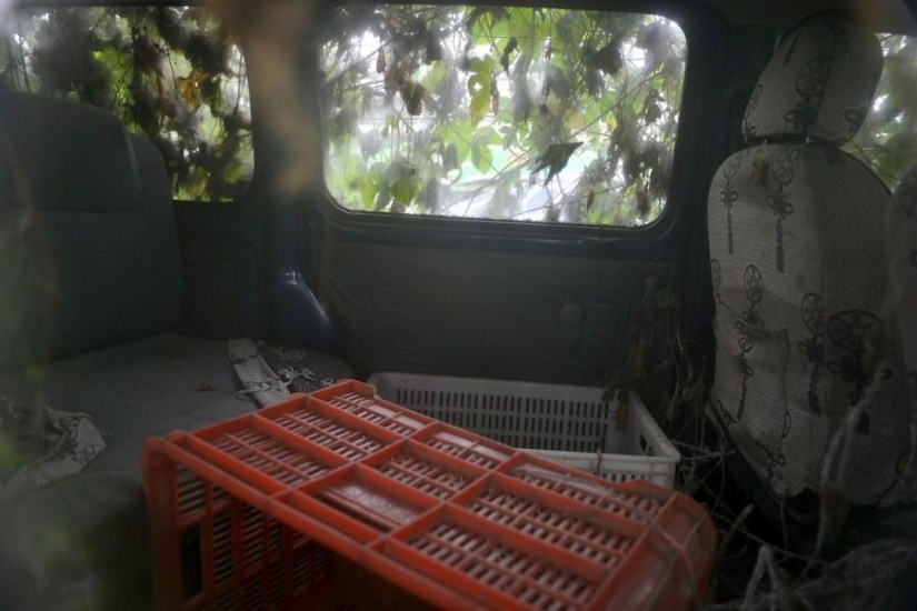 Sinister zombie car from China Sinister zombie car from China