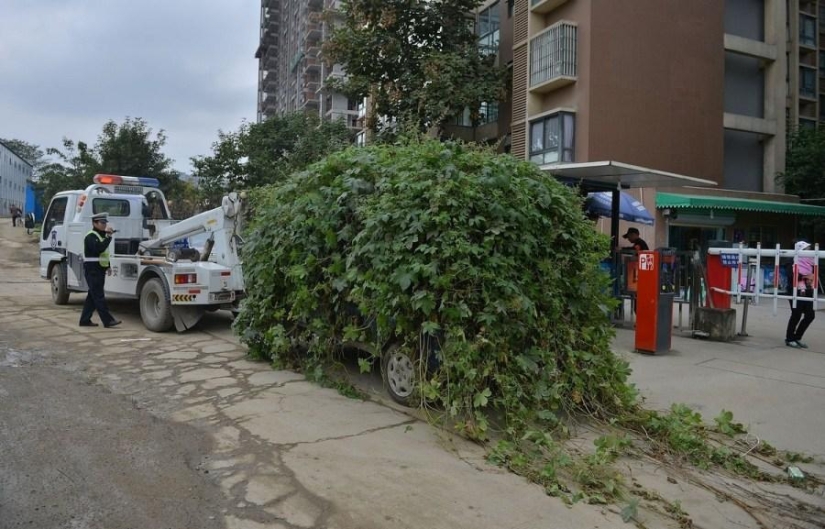 Sinister zombie car from China Sinister zombie car from China