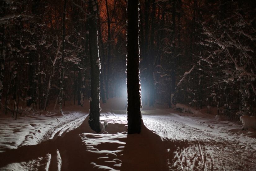 Skiing! Give the guy a ski track, hurry up! Skiing! Give the guy a ski track, hurry up!