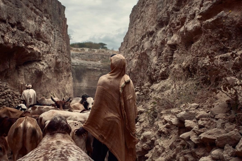 Smithsonian Photo Contest 2016 Finalists Smithsonian Photo Contest 2016 Finalists