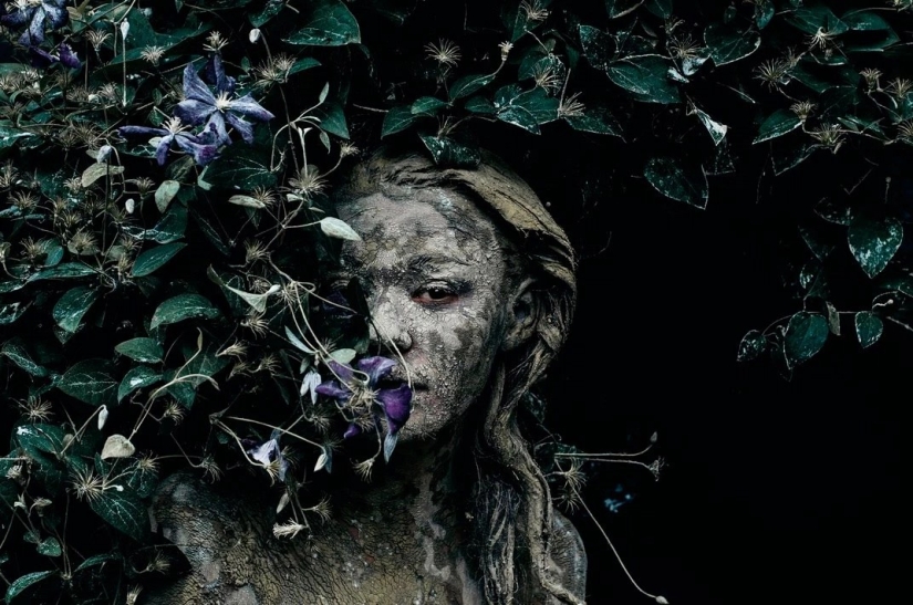 Smithsonian Photo Contest 2016 Finalists Smithsonian Photo Contest 2016 Finalists