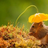 Smithsonian Photo Contest 2016 Finalists