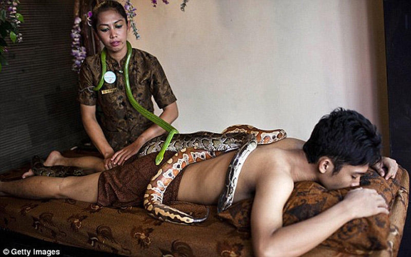 snake massage
