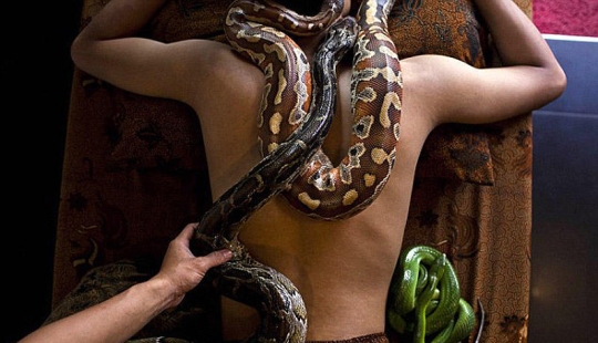 snake massage
