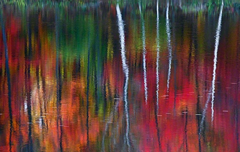 Snapshot in a million: the most expensive shots in the history of photography Snapshot in a million: the most expensive shots in the history of photography